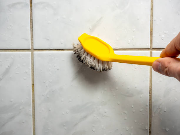Office Mold Removal Services in Mammoth Lakes, CA